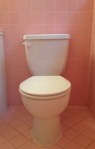 My toilet