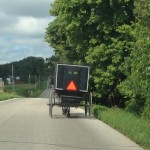 buggy traffic