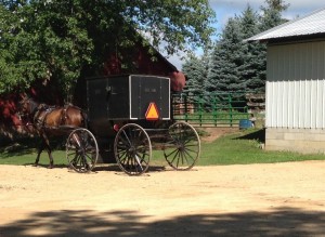 horse buggy trot
