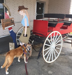 Cowboy Church