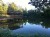 Pond outside my cottage